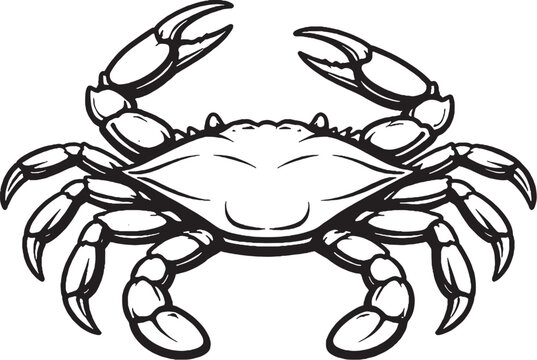 Blue Crab Black and White 3D Lite Line Art Illustration