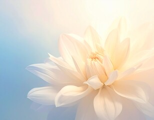 Fototapeta premium Close up of a delicate white flower with soft blurred background in pastel hues