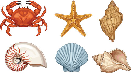 Obraz premium Set of Realistic Sea Life Illustrations Featuring an Orange Crab Starfish Scallop Nautilus and Detailed Tropical Ocean Shells on White Background