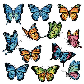 Colorful Butterfly Collection - Diverse Wing Patterns and Vibrant Hues.
