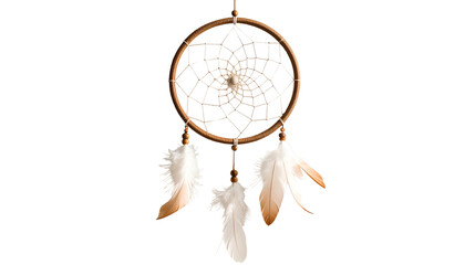 Dreamcatcher with Feathers and Web Design.