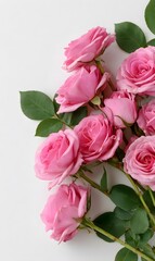 Obraz premium flat lay of pink roses scattered on a white background, with a pastel aesthetic