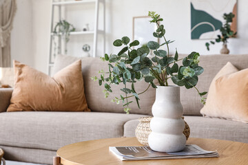 Magazine and vase of artificial eucalyptus twigs on coffee table near sofa in living room © Pixel-Shot