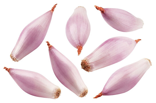 a collection of seven whole shallots, peeled and isolated on a transparent background, presented in a dynamic overhead arrangement suggesting freshness and culinary use.