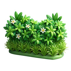 Vibrant green succulent plant isolated on transparent background