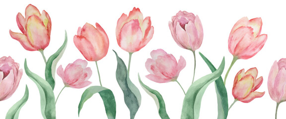Watercolor Pink Tulips Floral Border. Perfect for greeting cawds. Vector EPS.