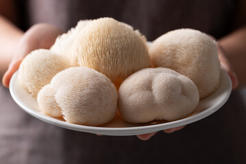 Fresh Lion's Mane mushroom,(Hericium erinaceus) on a white plate holding by hand © nungning20