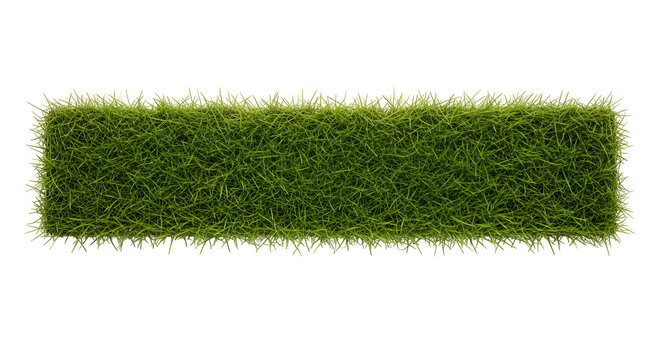 Rectangular strip of lush green grass, perfect for design elements, borders, or landscaping concepts, isolated on black.