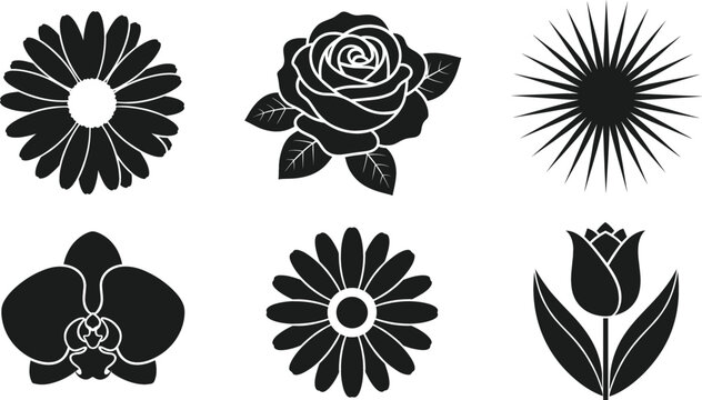 Decorative floral vector icon set with rose daisy tulip orchid and abstract sunburst black silhouettes