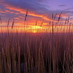 갈대_황혼노을_몽환적풍경표현