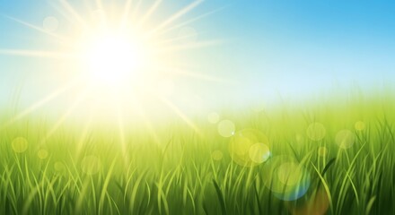 Obraz premium Sun shining brightly over a lush green grass field on a clear blue day from a low angle viewpoint