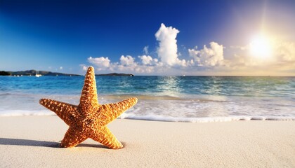 Starfish On The Beach