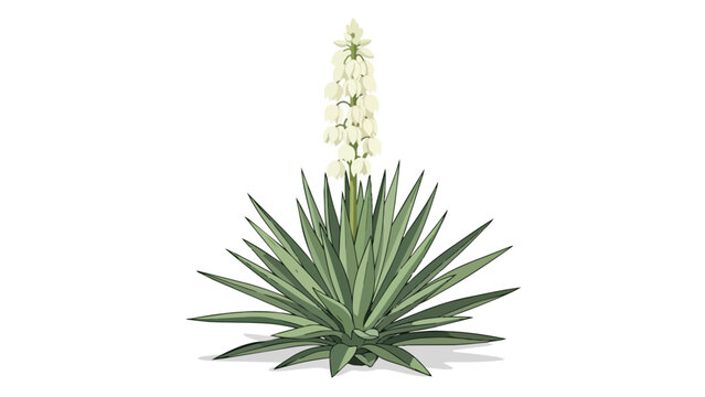 Vivid illustration of a yucca plant showcasing white bell-shaped flowers. This detailed botanical artwork features sharp green leaves and an elegant