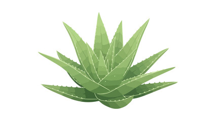 Vibrant green aloe vera plant illustration capturing natural beauty and botanical essence on a pristine white background