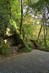 Pena Palace in Sinatra, Portugal steps leading to gardens