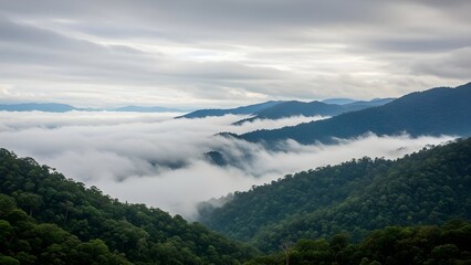Fototapeta premium Low clouds drift through a lush mountain valley, creating a dramatic and atmospheric landscape that emphasizes elevation, scale, and natural serenity.