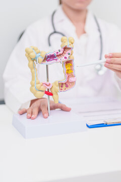 Elderly woman Patient consultation with doctor for Colon disease, Large Intestine, Colorectal cancer, Ulcerative colitis, Diverticulitis, Irritable bowel syndrome, Digestive system and Healthcare
