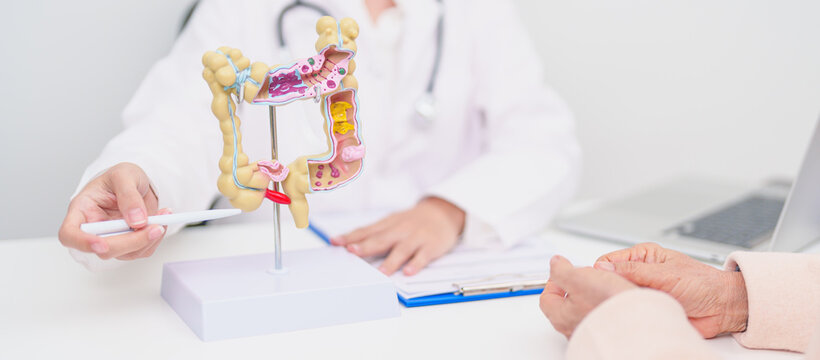 Elderly woman Patient consultation with doctor for Colon disease, Large Intestine, Colorectal cancer, Ulcerative colitis, Diverticulitis, Irritable bowel syndrome, Digestive system and Healthcare