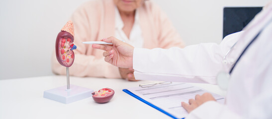 Elderly Patient consultation with doctor for Kidney disease, Urinary system and Stones, Cancer,...