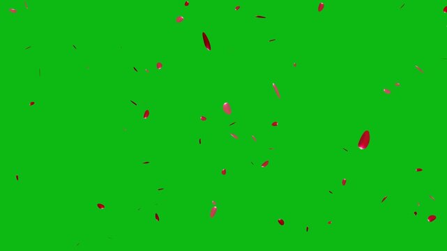 falling cherry blossom petals, falling red rose petals on green screen background, 4k loopable overlay with alpha channel. 