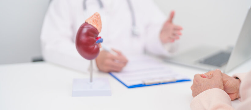 Elderly Patient consultation with doctor for Kidney disease, Urinary system and Stones, Cancer, world kidney day, Chronic kidney, Urology, Nephritis, Renal, Transplant and medical healthcare concept