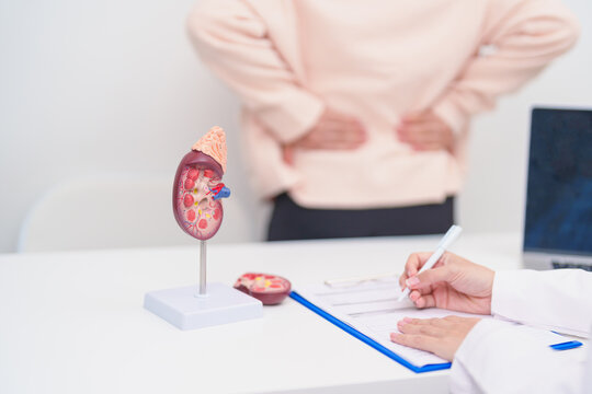 Elderly Patient consultation with doctor for Kidney disease, Urinary system and Stones, Cancer, world kidney day, Chronic kidney, Urology, Nephritis, Renal, Transplant and medical healthcare concept
