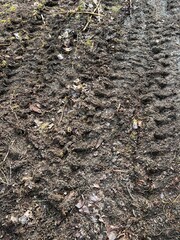 Tire tracks on frozen ground