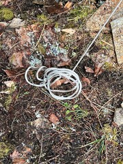 A white rope on the ground