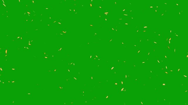 Golden Confetti rain effect overlay green screen alpha channel. slow motion falling confetti particles animation.