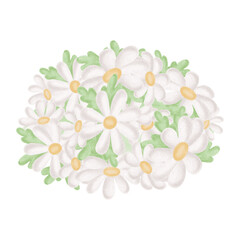 Obraz premium Chamomiles white bouquet with leaves watercolor painting in kids style. Daisy flowers illustration for Easter greeting card Hand-drawn isolated flowering plant. Floral clip art for baby shower design.