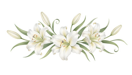 Fototapeta premium White Lily Botanical Watercolor Branch Isolated on Transparent Background