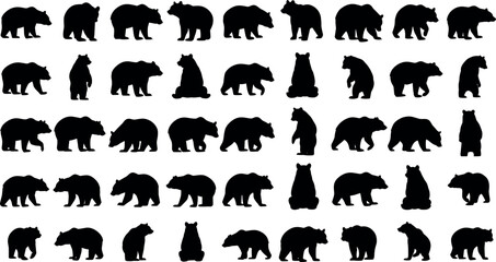 Large collection of wild bear animal silhouettes in different poses like walking standing and sitting for nature vector design elements