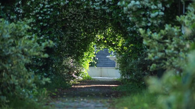 Exploring a green path in a garden during daylight hours