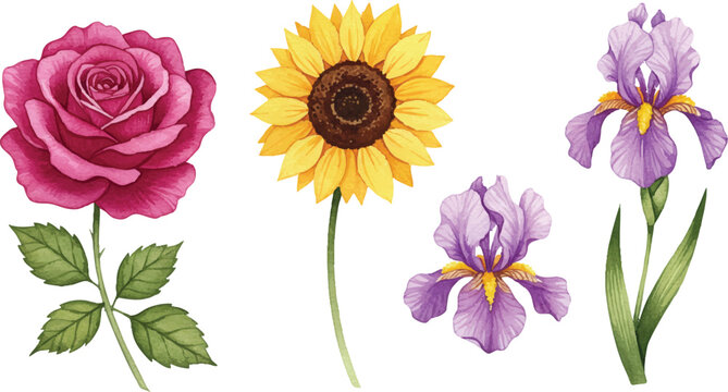 Vibrant flowers including a rose, sunflower, and irises displayed together in a floral arrangement