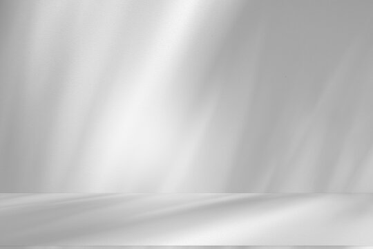 backdrop, background, blank, blur, bright, cement, abstract, composition, concrete wall, design, display, empty, floor, frame, geometric, gery, gradient, graphic, gray, indoor, interior, leaves, light