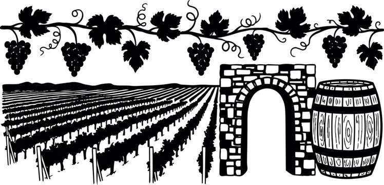Black silhouette grapevine clusters with leaves over vineyard rows stone arch and wooden barrel in flat design vector art