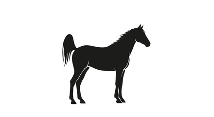 Obraz premium Silhouette of a standing horse with tail raised.