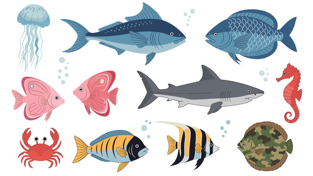 Vibrant collection of marine animals including various fish, a shark, a jellyfish, a seahorse, and a red crab on white.