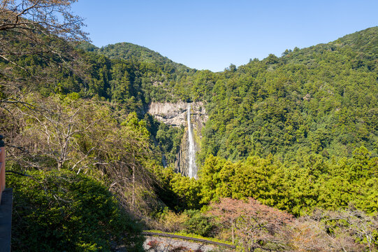 Nachi Falls plunges down a rocky cliff surrounded by dense evergreen trees and vibrant foliage in Wakayama, Japan. Bright sunlight and a clear blue sky create a fresh, natural atmosphere in this