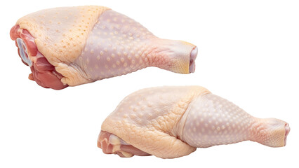 Two raw chicken drumsticks, presented against a transparent backdrop, showcasing the poultry?s texture and color details