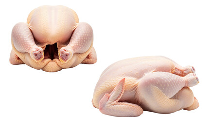 Two raw, whole chickens presented in front and side views against a black background. The birds show light-colored, smooth skin
