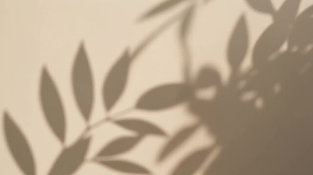 Soft natural light creates an abstract pattern of plant leaf shadows on a simple beige wall background