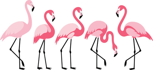 Flamingo cartoon vector set. Pink flamingos in elegant standing and bending poses. Minimal flat illustration for tropical designs, patterns, logos, and branding. © ALFINI