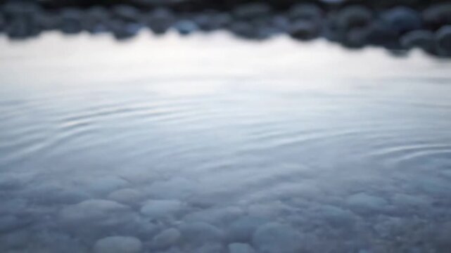 Subtle Breath A steady, eye-level shot observing the gentle, rhythmic expansion and contraction of the micro ripples, conveying the quiet, natural 'breathing' of the still water in an isolated tidal