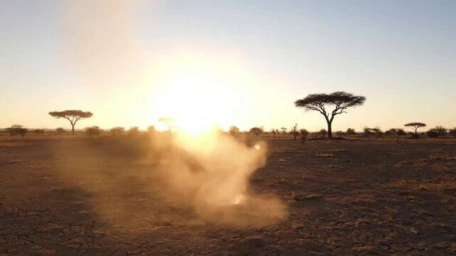 Whispers of Wind A medium shot following the gentle drift of a long, sinuous dust devil thread across the parched earth, with subtle camera movement to track its path, conveying a sense of silent,