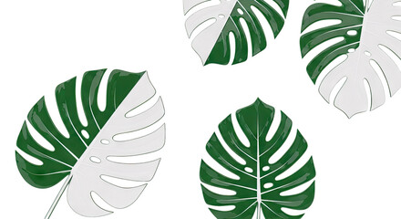 Obraz premium Monstera Leaves with Green and White Split Design