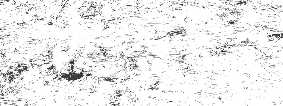 Distressed vector overlay texture of ground dry grass or hay debris isolated on white background