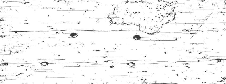 Distressed Birch Wood Bark Grunge Texture Overlay Vector Black and White Weathered Rustic Background