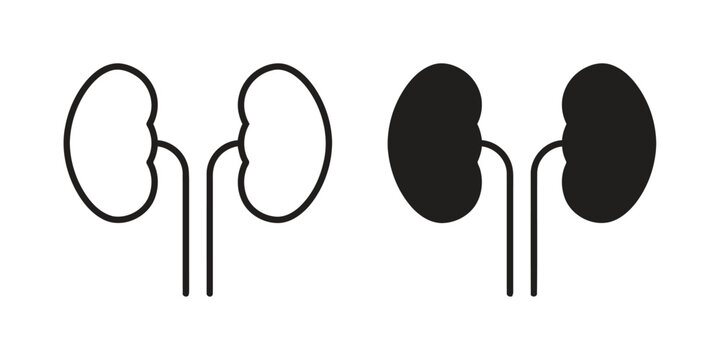 Outline and filled icons of human kidneys with ureters, representing medical anatomy and health concepts, suitable for healthcare and science illustrations