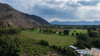 Aerial drone panoramic natural landscapes of Lambayeque, Peru, featuring forests, agricultural fields, and rural scenery near main cities and villages, ideal for tourism, marketing and graphic design